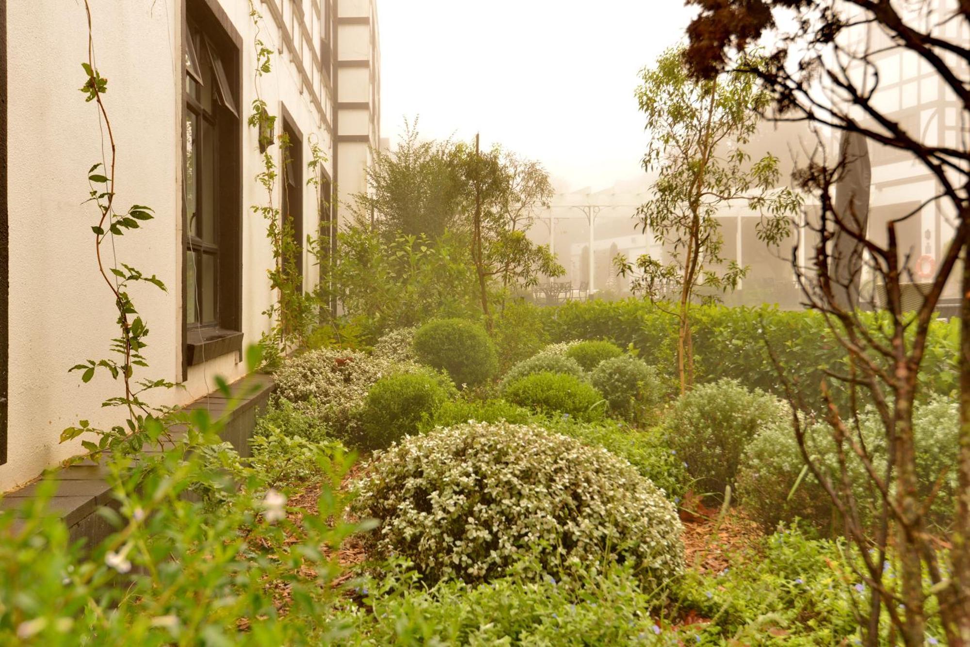 Anew Hotel Hilton Pietermaritzburg Екстер'єр фото